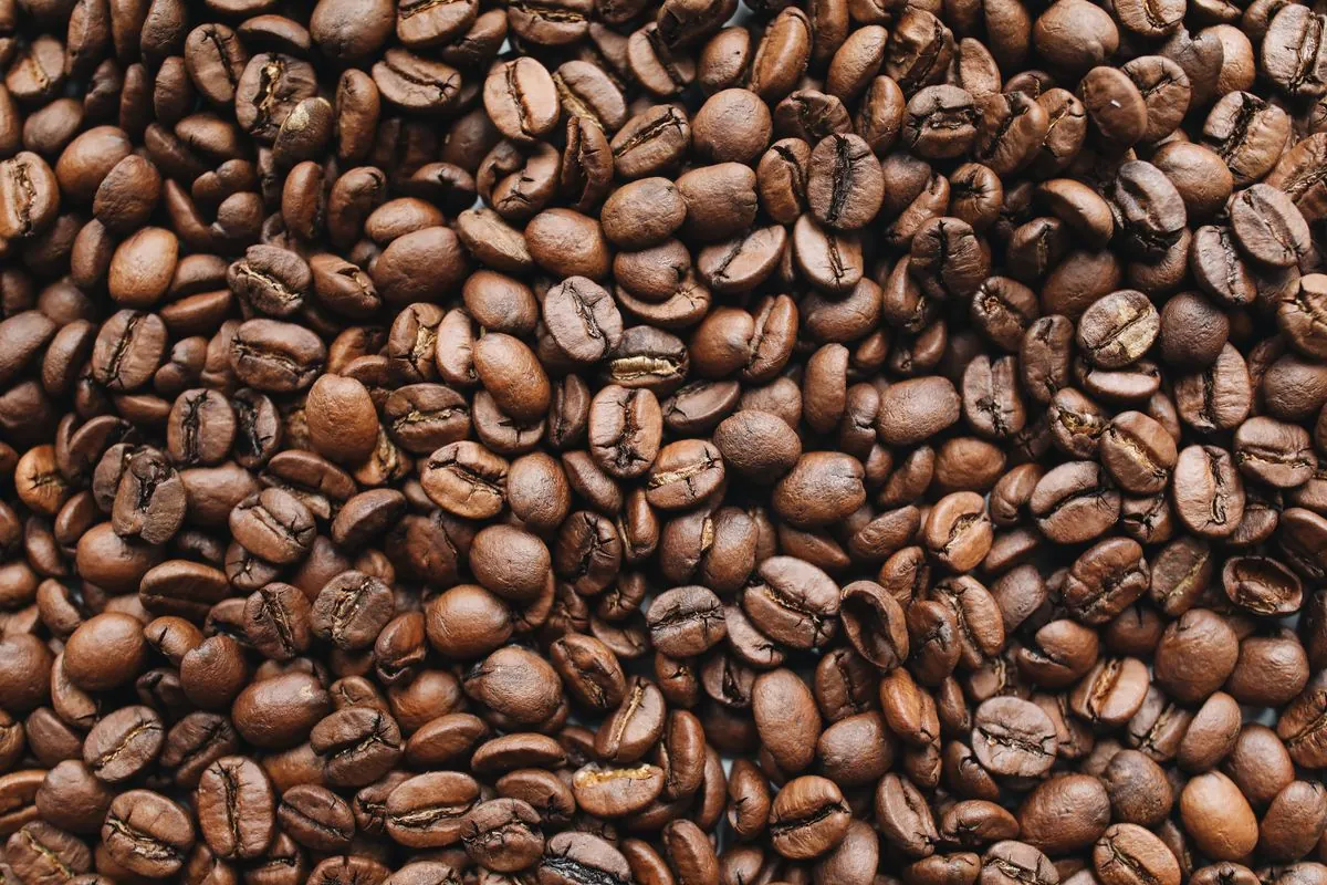 Roasted coffee beans