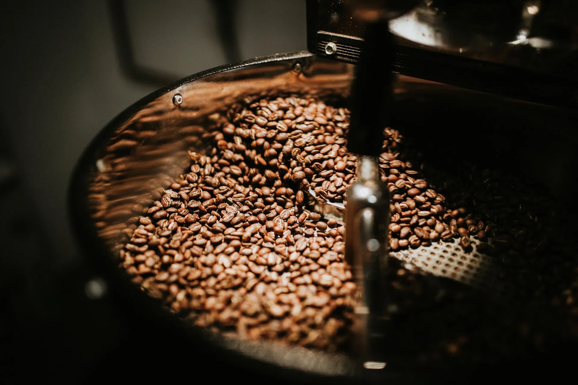 Coffee beans in the roasting drum